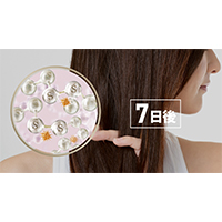 花王 | ヘアカラー後に実感するダメージのしくみを世界で初めて*1 解明