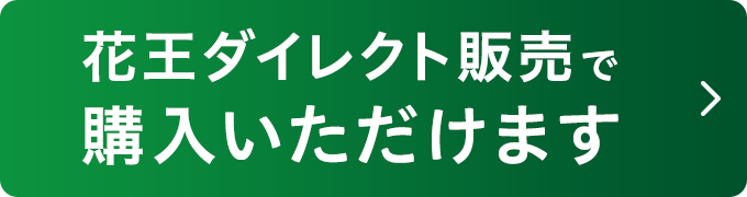 花王ダイレクト販売で購入いただけます