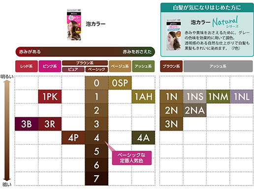 花王 製品カタログ ブローネ 泡カラー 2 より明るいライトブラウン 花王 製品カタログ ブローネ 泡カラー 2 より明るいライトブラウン