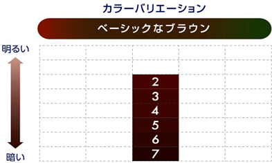 花王 製品カタログ ブローネ クリームヘアカラー 4 やや明るい栗色
