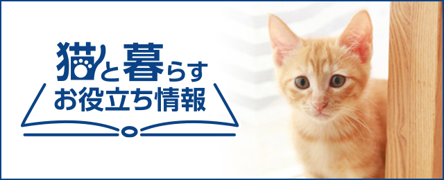製品カタログバナー