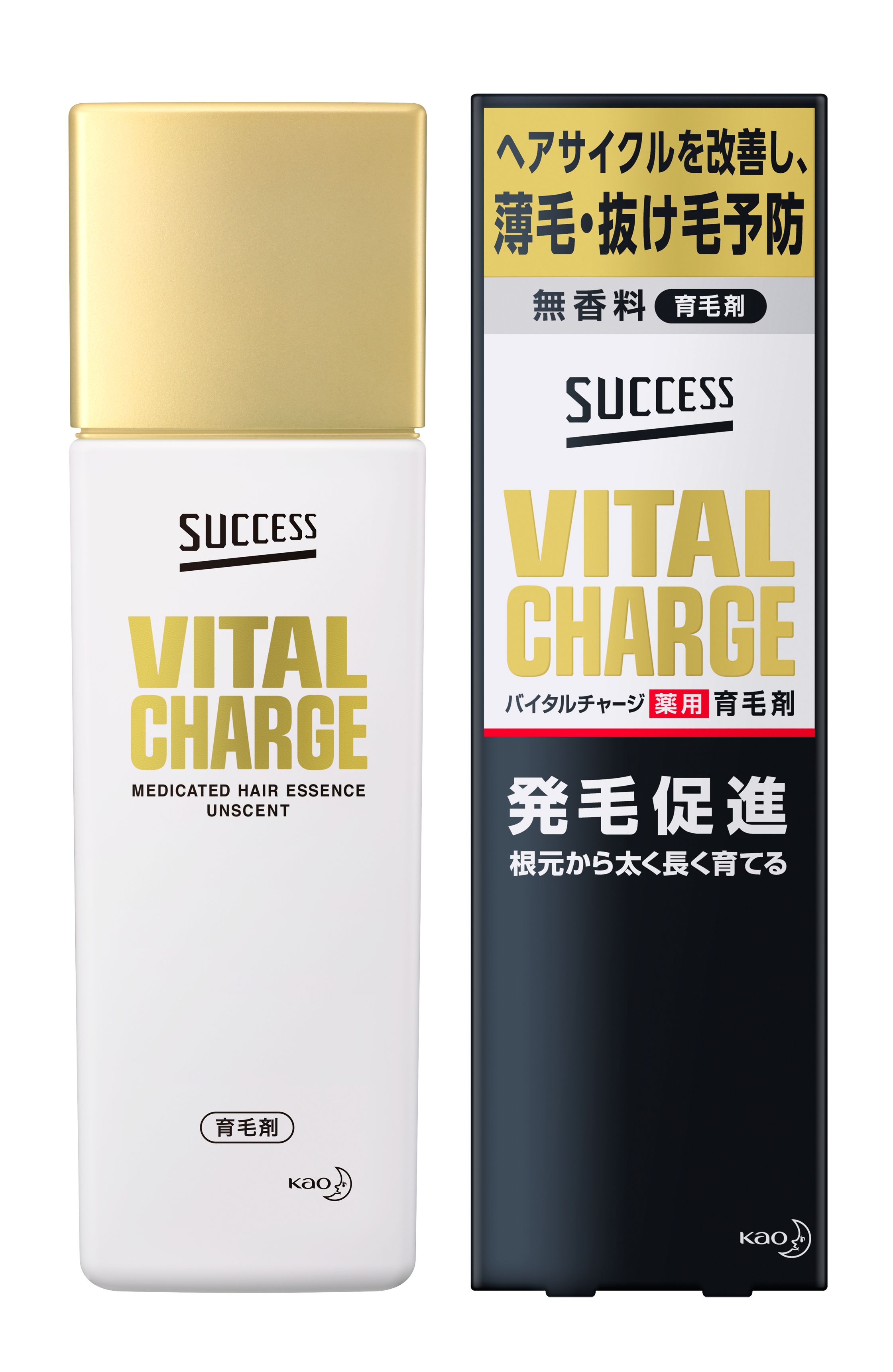 花王 製品カタログ サクセス バイタルチャージ 薬用育毛剤 花王 製品カタログ サクセス バイタルチャージ 薬用育毛剤