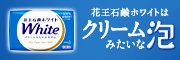 製品カタログバナー