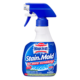 Mold on sale stain removal
